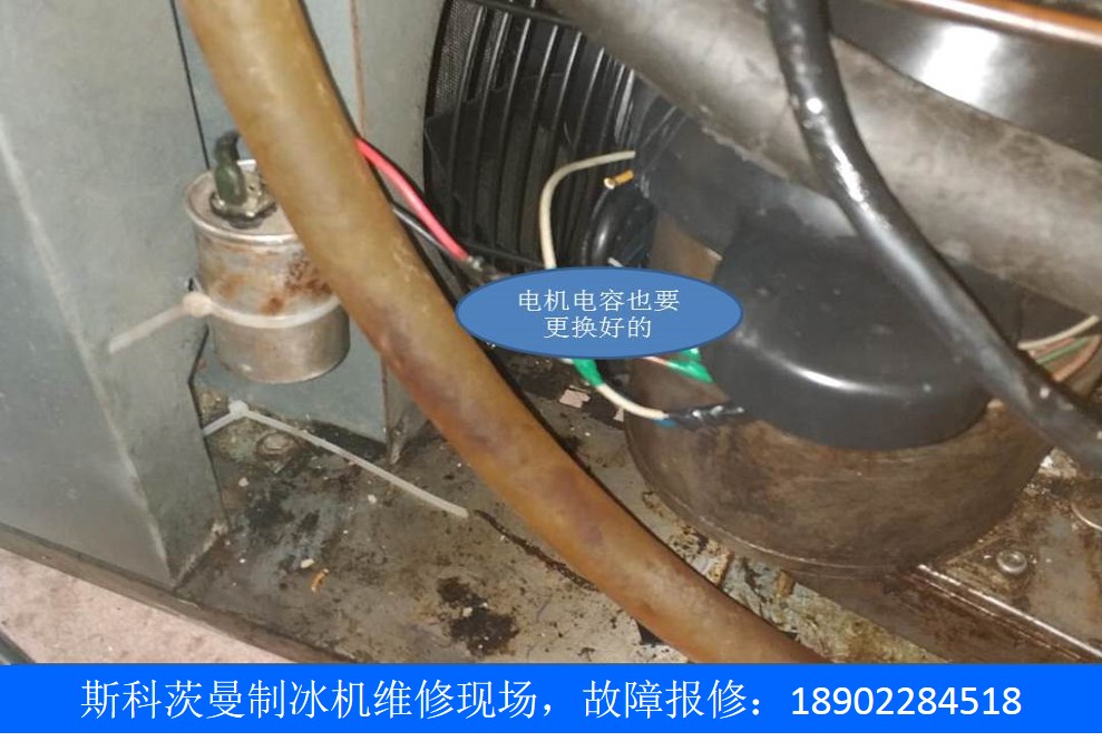 斯科茨曼-7.jpg 斯科茨曼-7.jpg